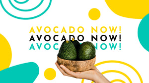 Hands with avocados to show the main product of the store. The tagline of the brand "avocado now" is at the center.